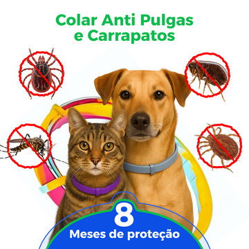 Colar Anti Pulgas e Carrapatos
