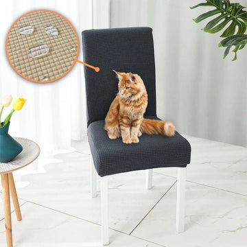 Capa para Cadeira Contra Pets